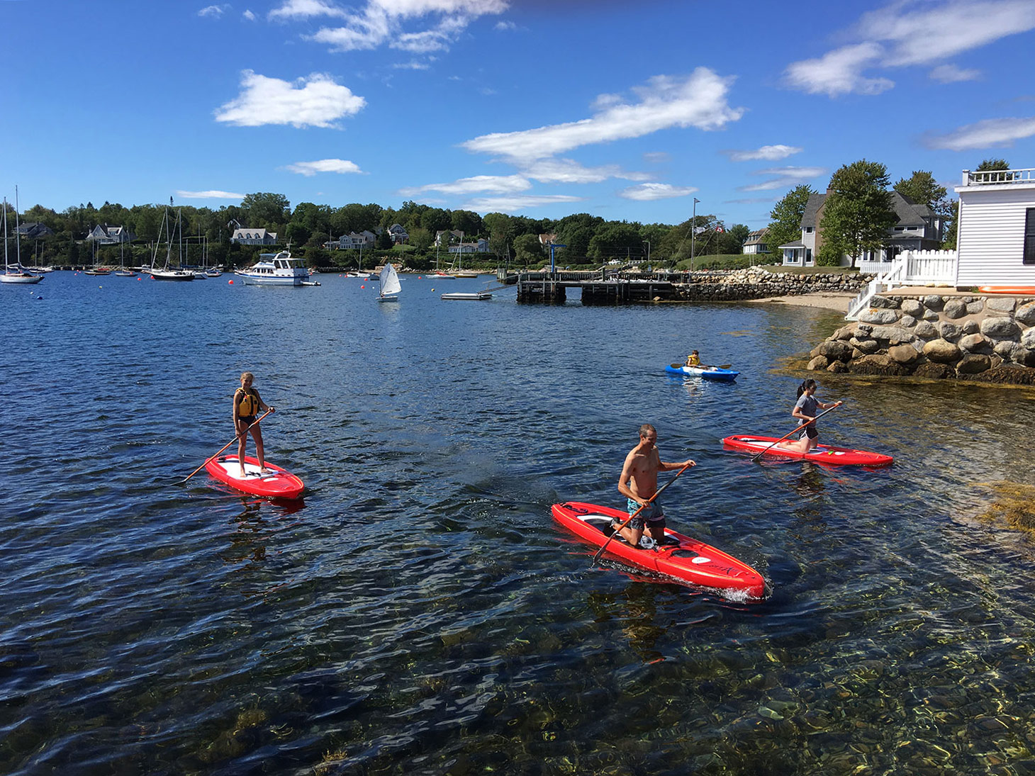 Family paddle