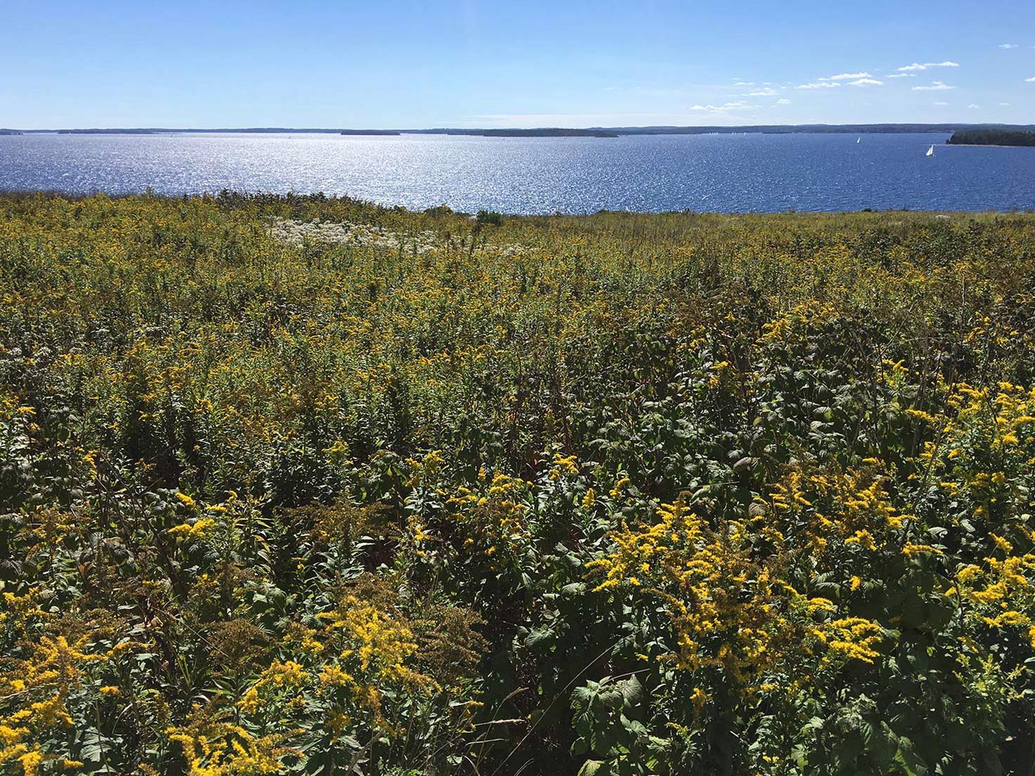 View from the top of Quaker Island