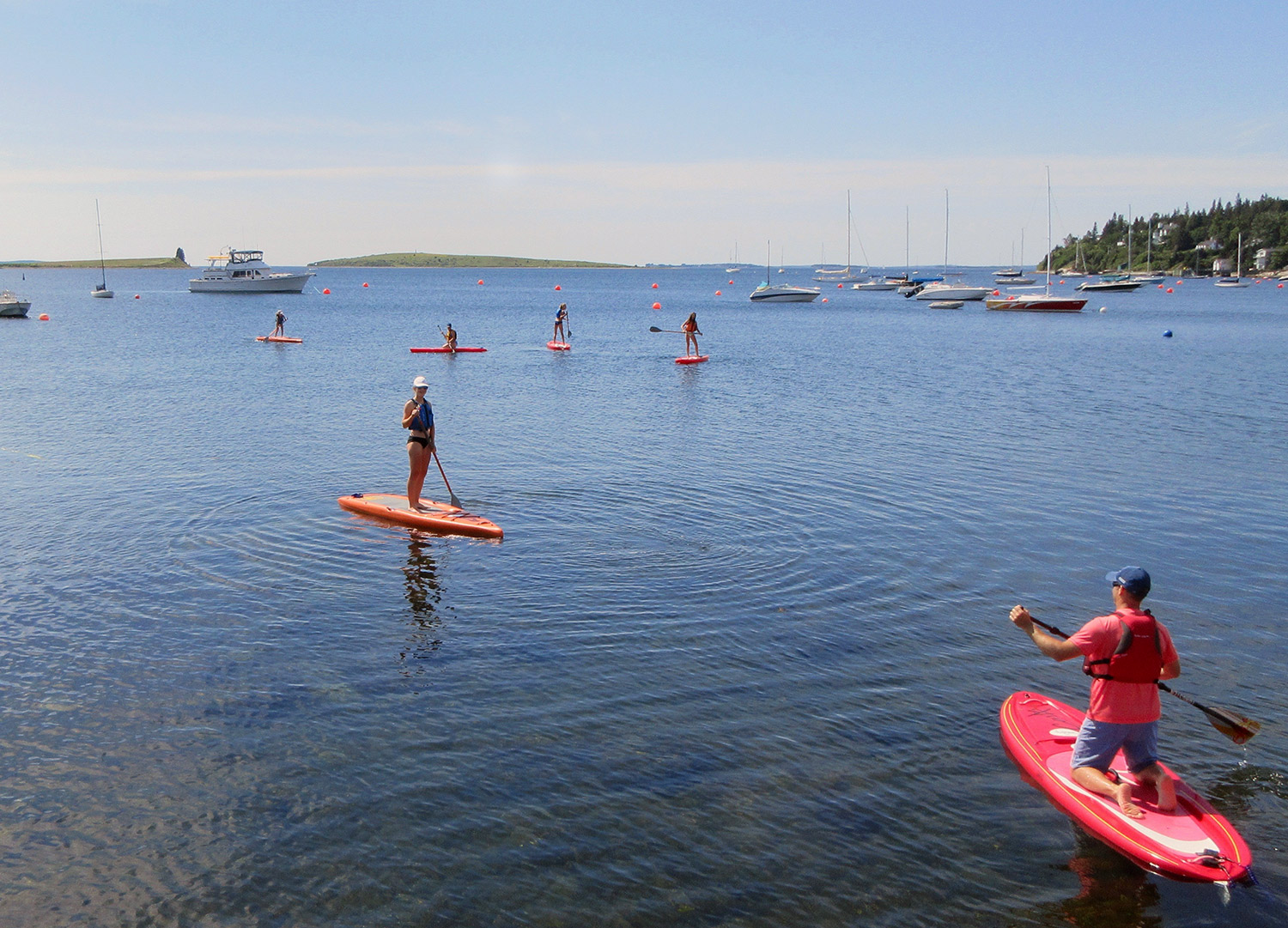 Paddle Boarding!