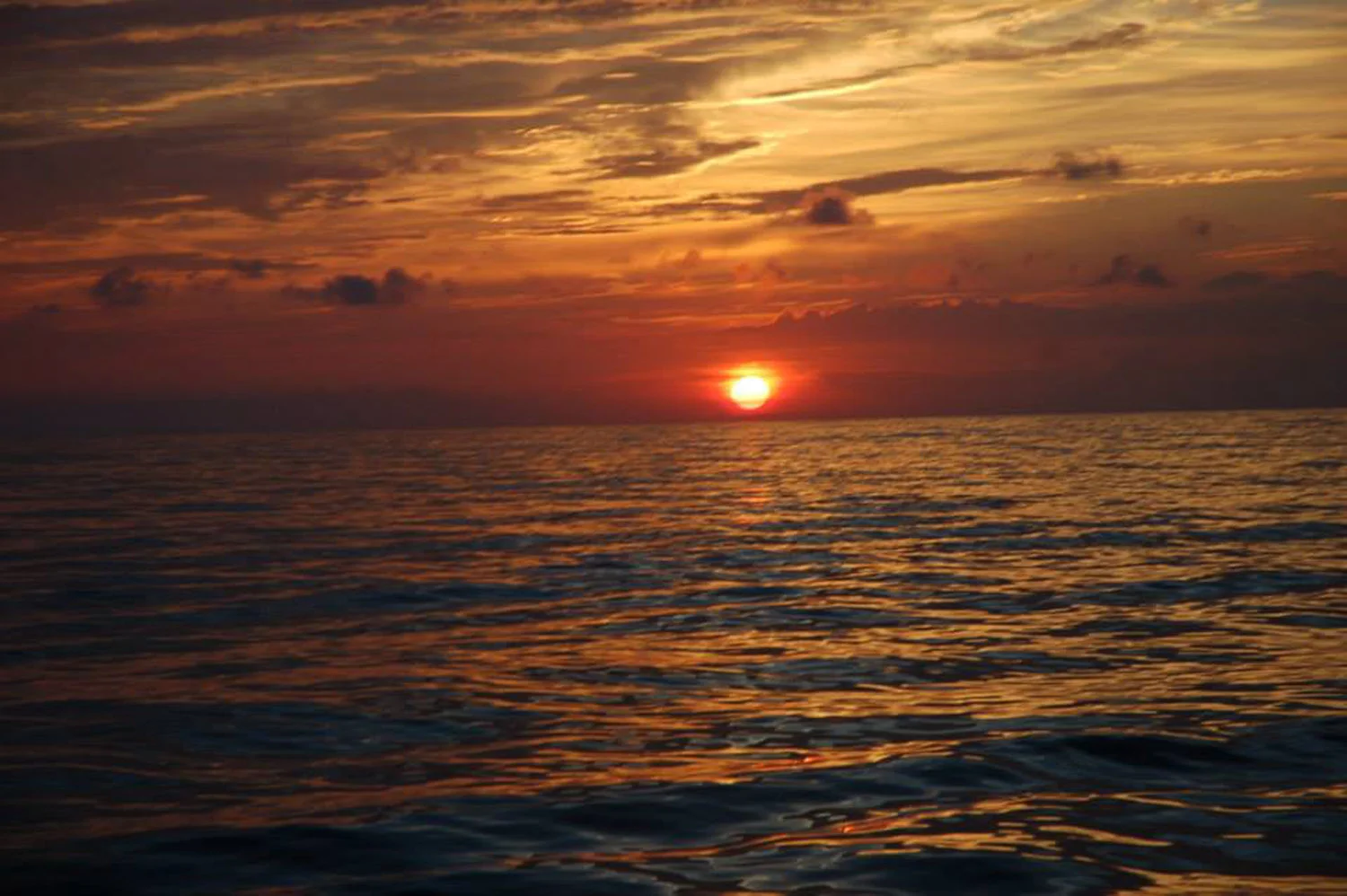 High Return Sportfishing - 2.jpg