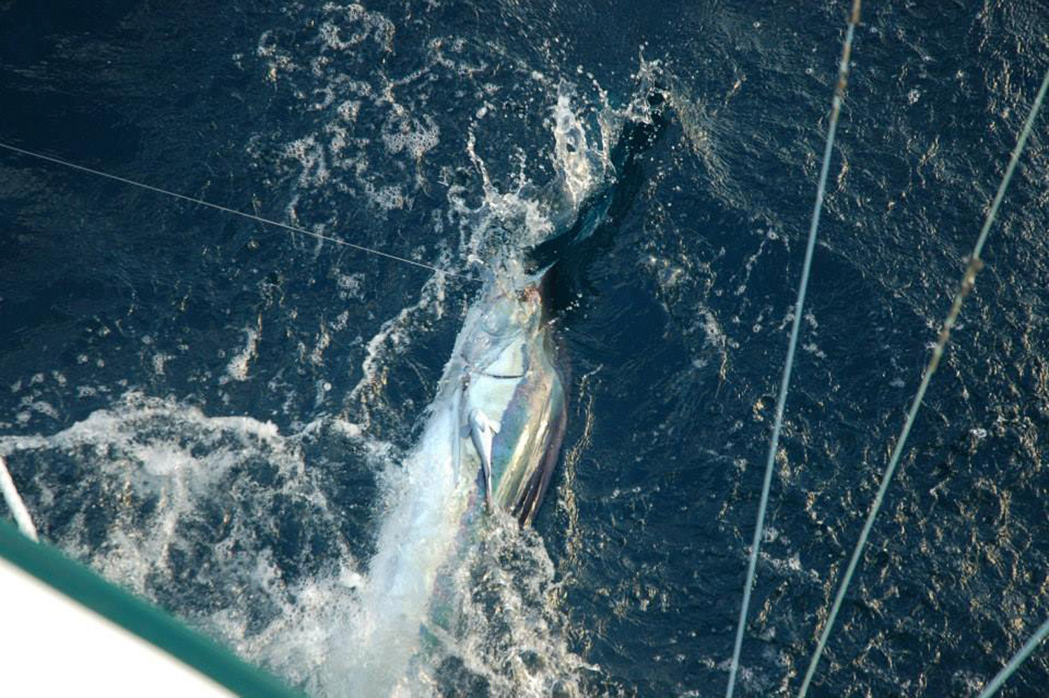 High Return Sportfishing - 14.jpg