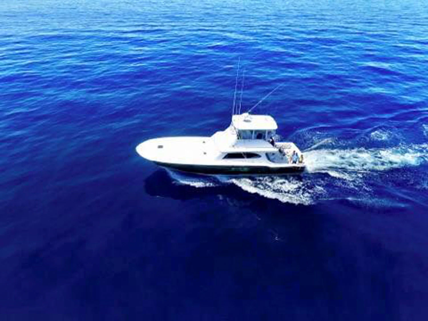 High Return Sportfishing - 34.jpg