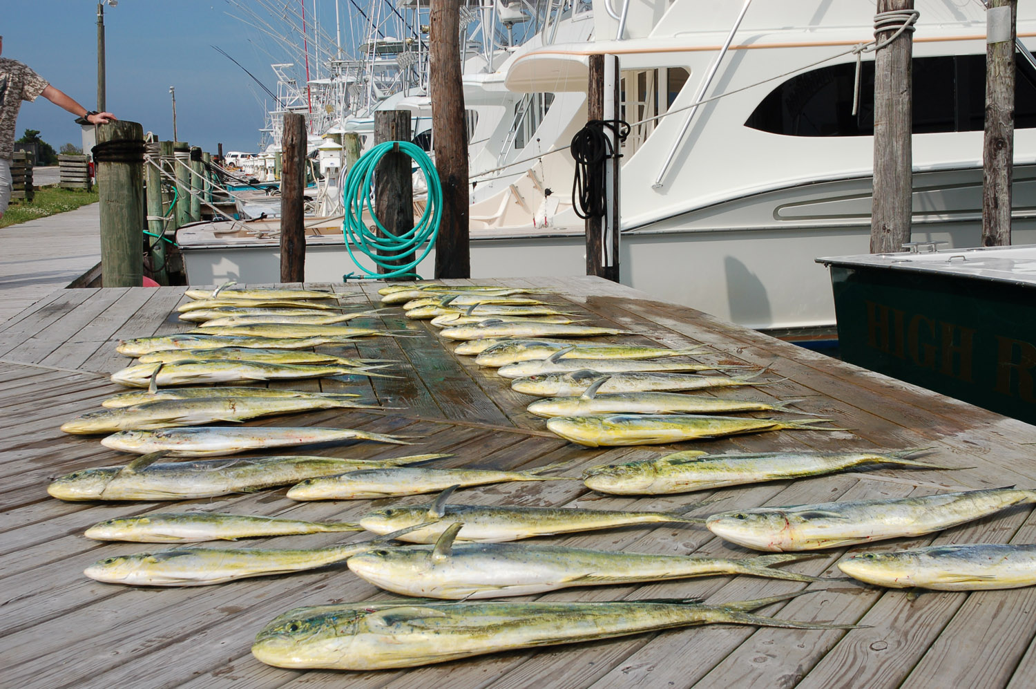 High Return Sportfishing - 46.jpg