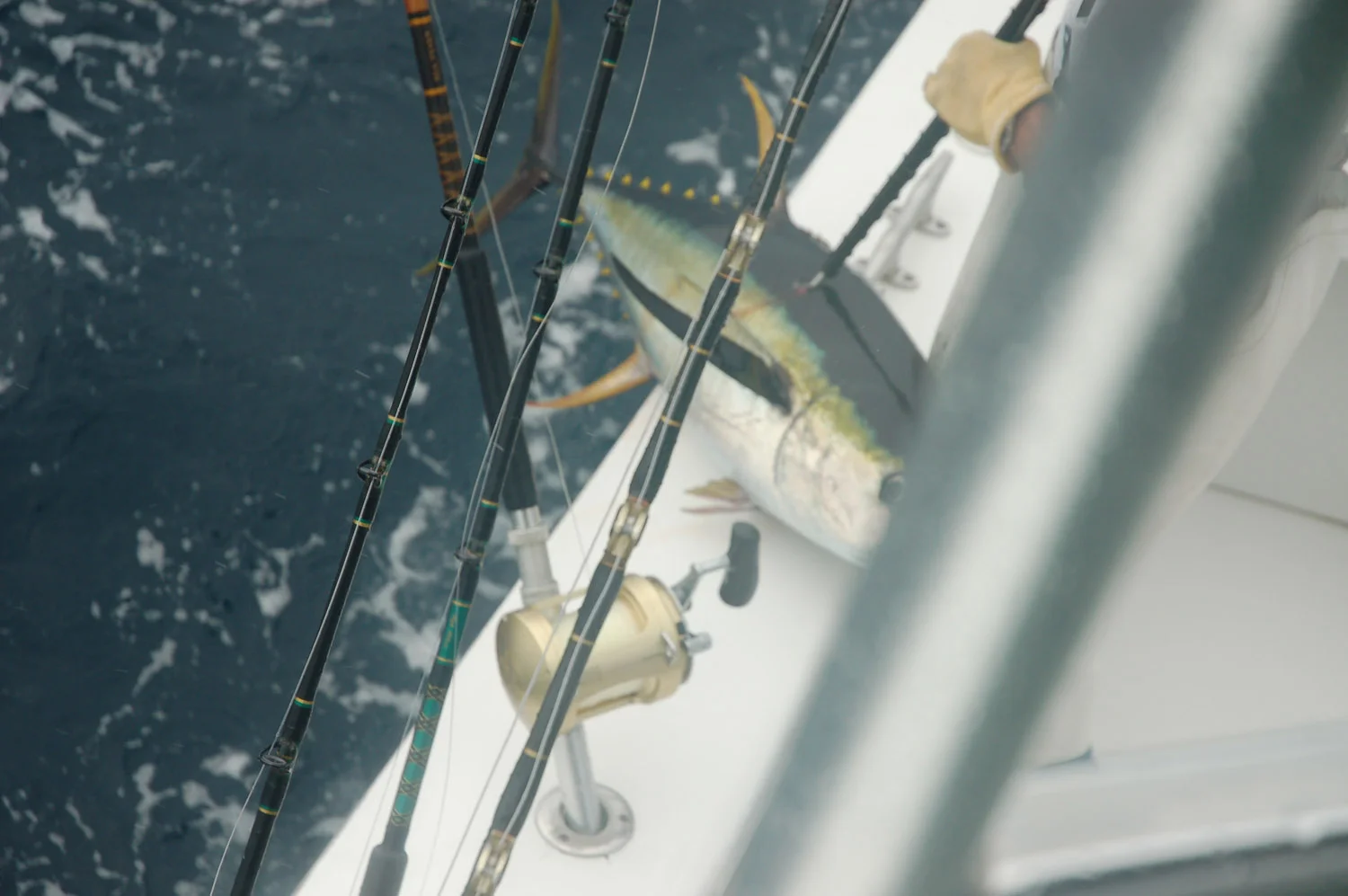 High Return Sportfishing - 111.jpg