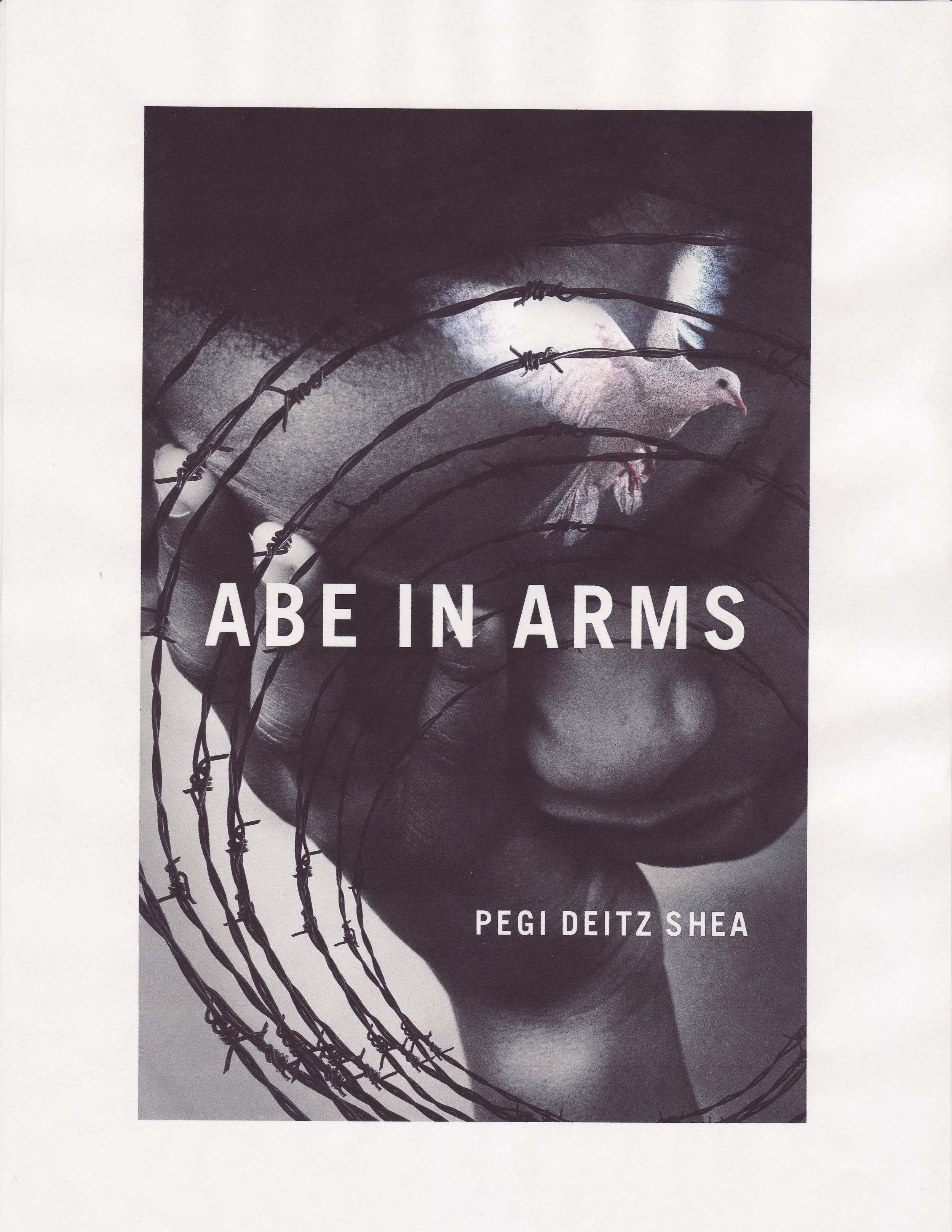 abe cover.JPG