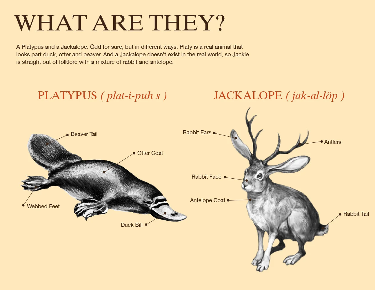 Lunchables_PlatyJackieStyleGuide_R25-4.jpg