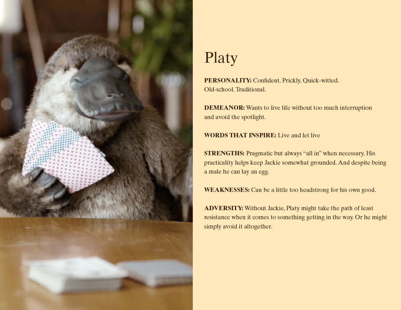 Lunchables_PlatyJackieStyleGuide_R25-9.jpg