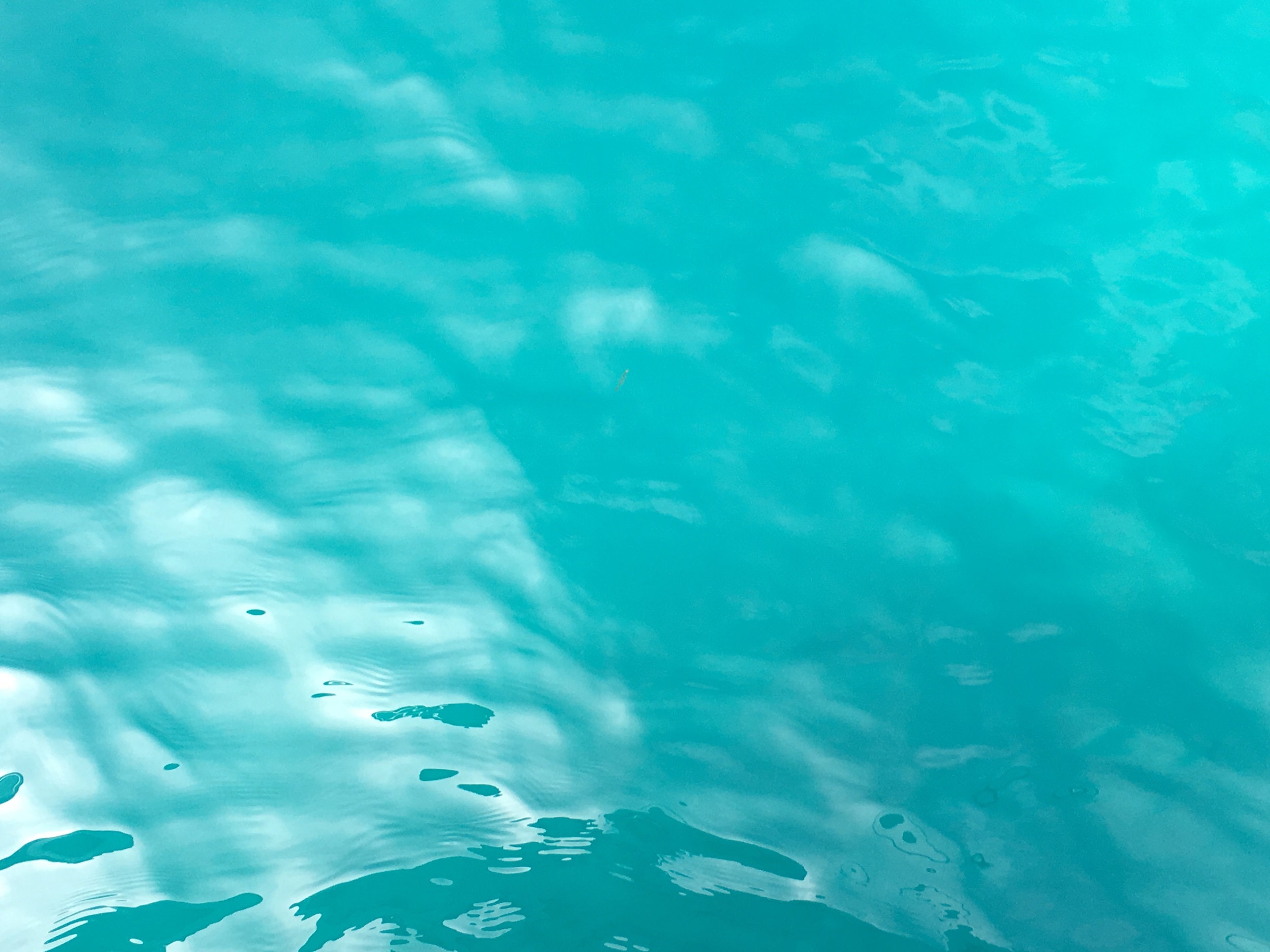 Emerald Bay's water is amazingly colored.