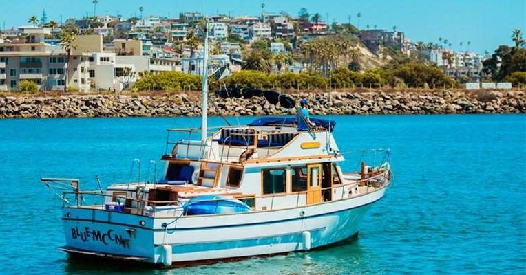 BlueMoon is going national! Tune in to CBS at 2pm Eastern (1pm Pacific)
Come aboard the BlueMoon and see dolphins playing in their natural habitat. We have been taking friends, families and work parties out for 20 years.