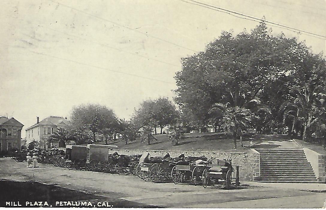 Undated Hill Plaza postcard, likely dating to the early 1900s since the Burdell-donated palm trees are in place. 