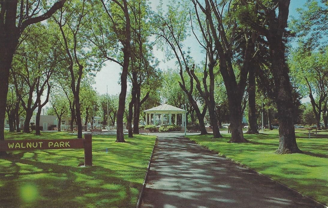 Walnut Park color postcard, nd.jpg