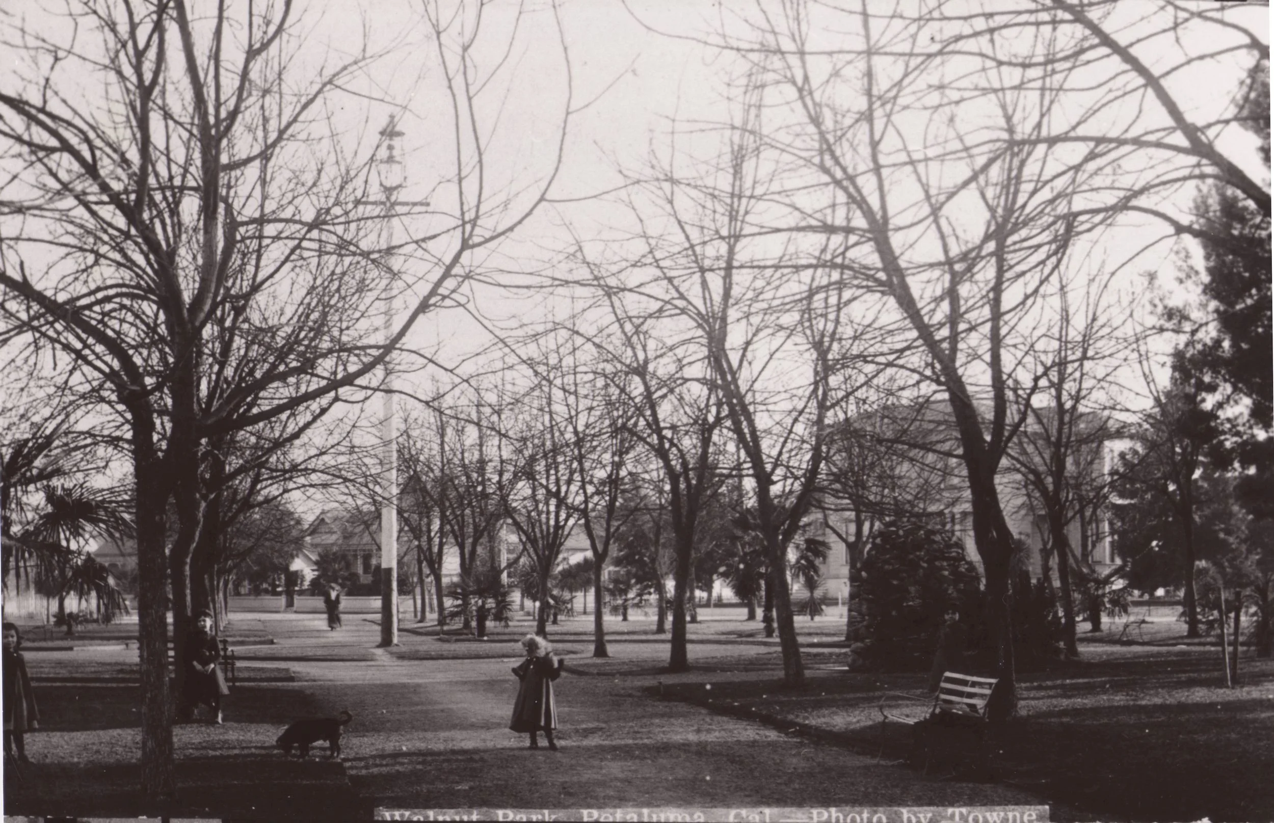 Early Walnut Park.JPG