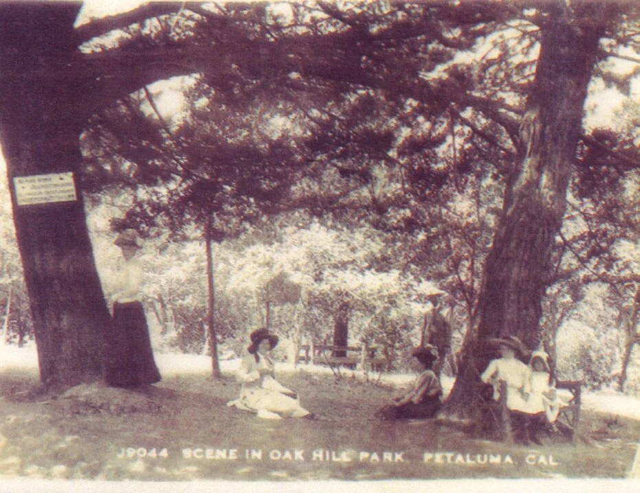 Oak Hill Park postcard. From the collection of Janet Gracyk.