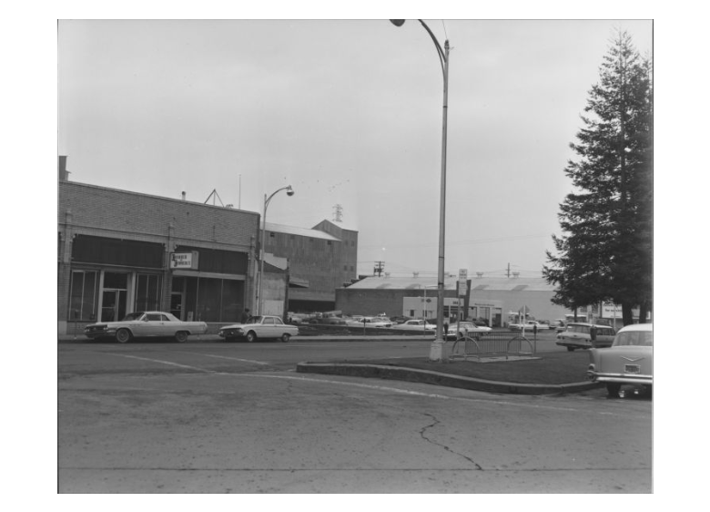 In 1962 the redwoods have gotten tall. It appears that the park was later extended beyond the crosswalk location. Collection of the Sonoma County Library.