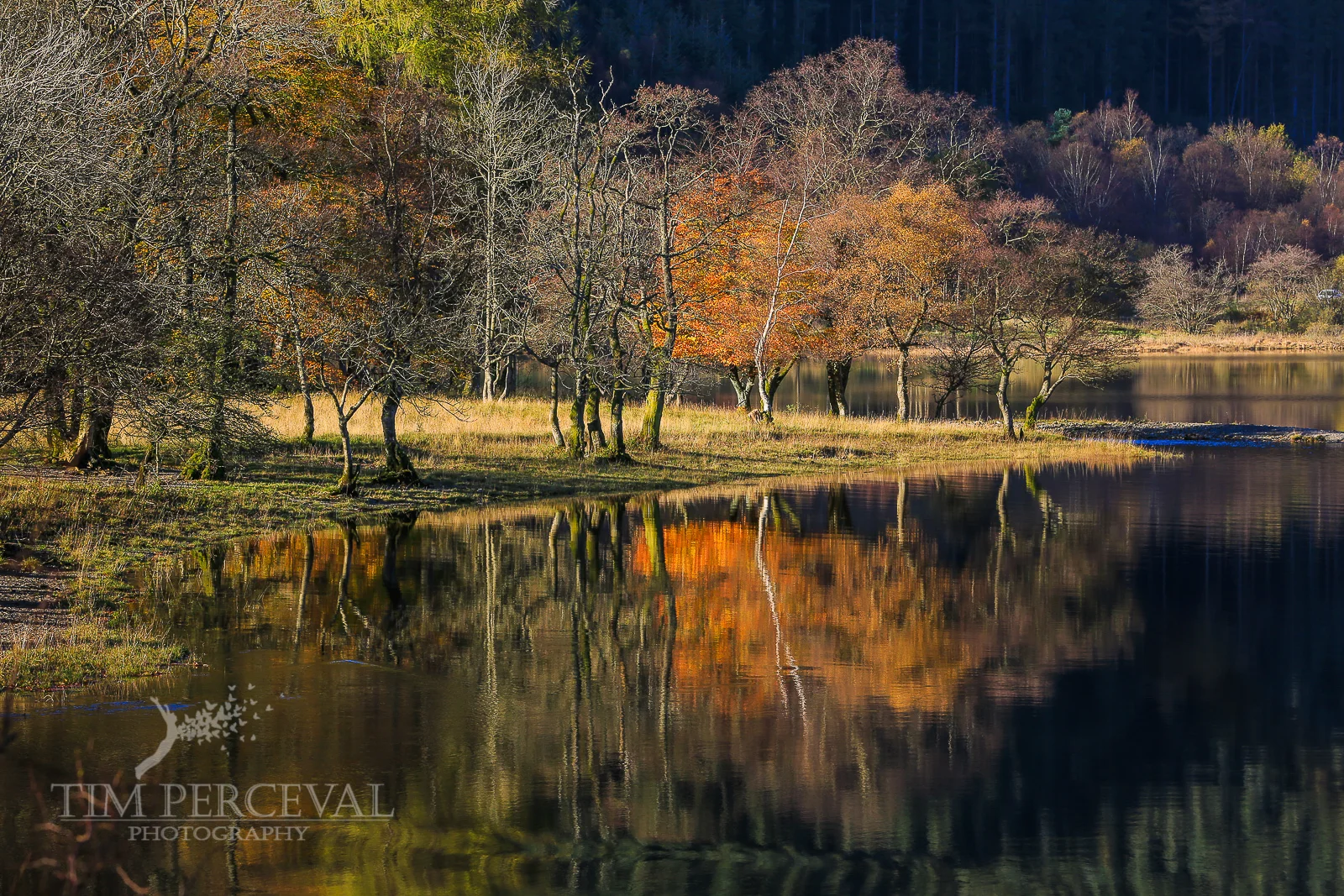 Autumn tree reflections over Loch Lubnaig