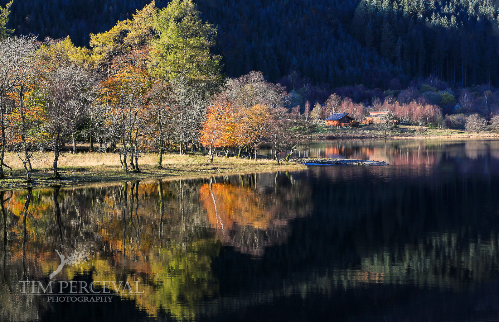  Autumn tree reflections over Loch Lubnaig and the Strathyre Cabins 