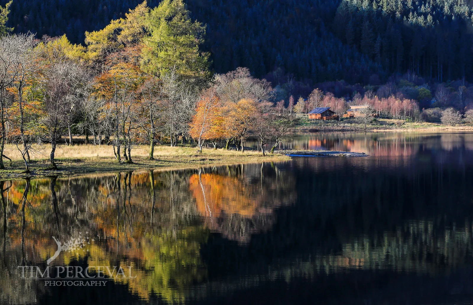 Autumn tree reflections over Loch Lubnaig and the Strathyre Cabins