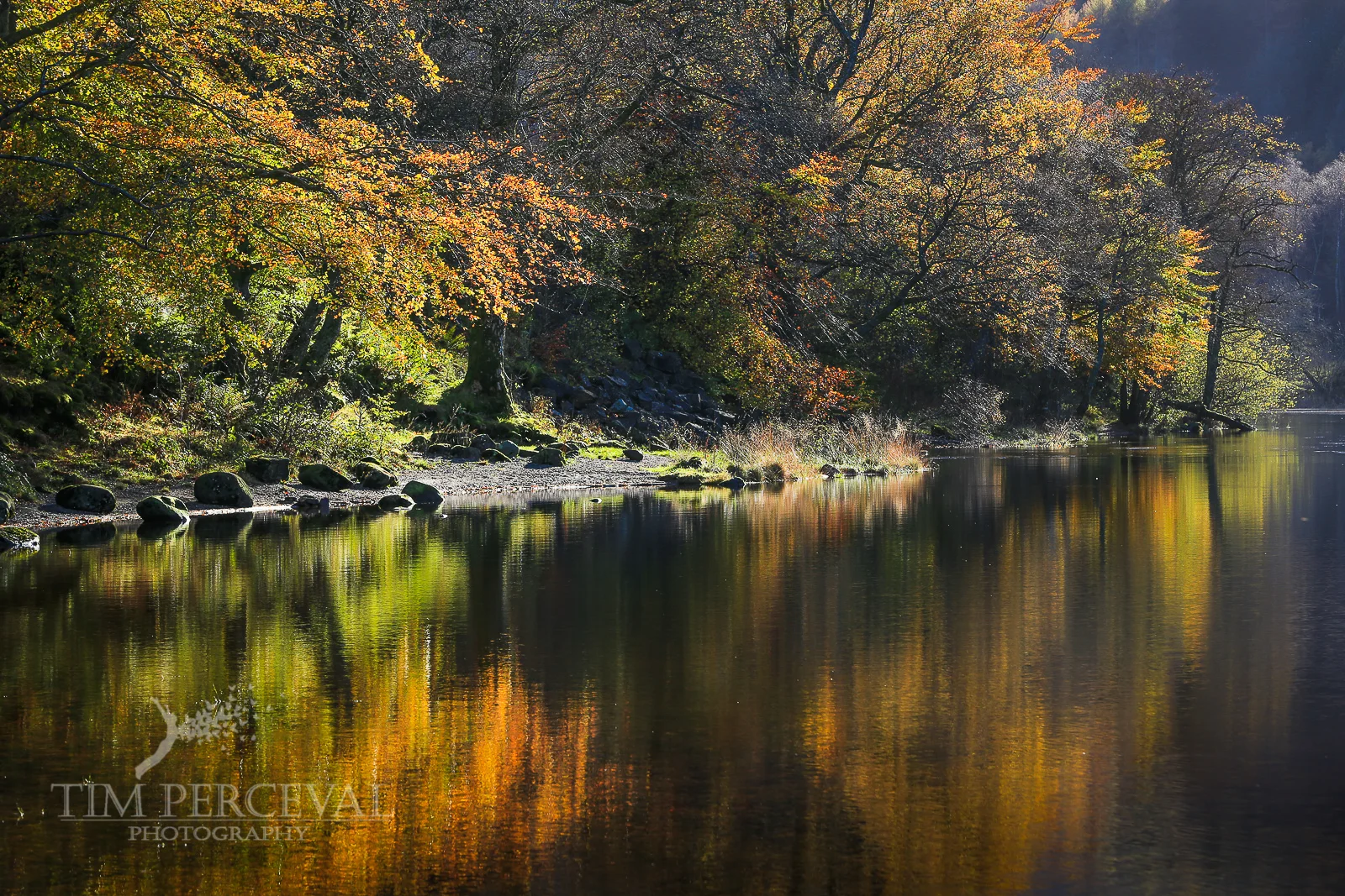 Autumn dream, Loch Lubnaig