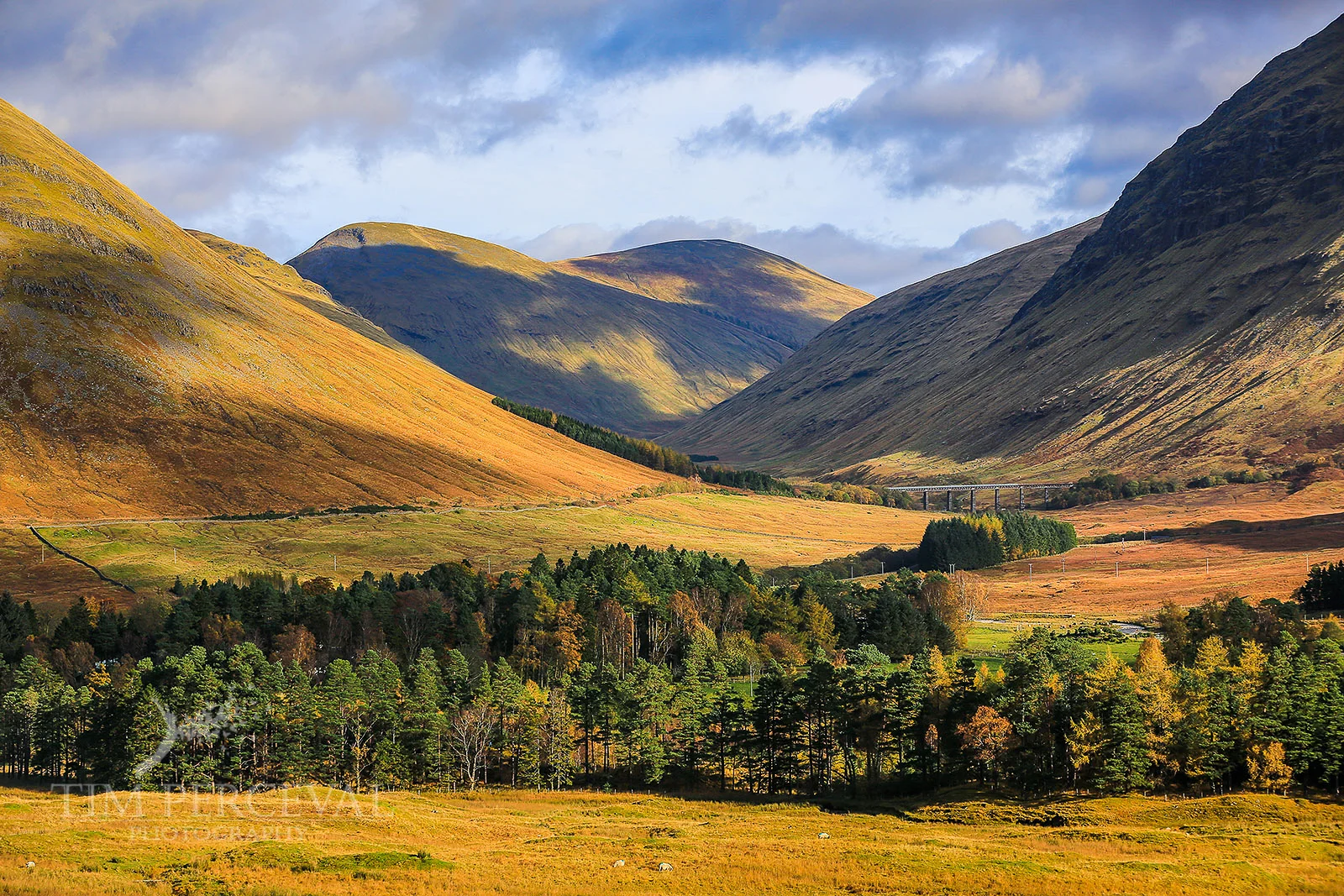 Highland valley at the foot of Beinn a Chaisteil and Beinn Dorain.