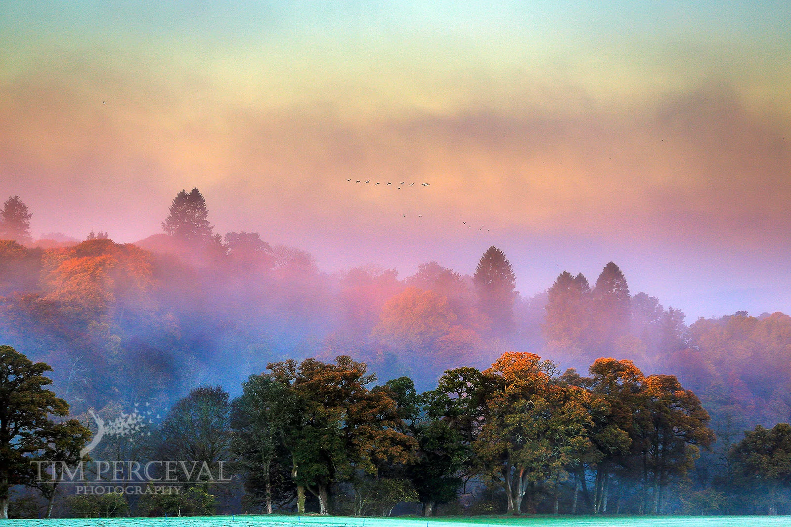 Dawn Mist over the River Teith