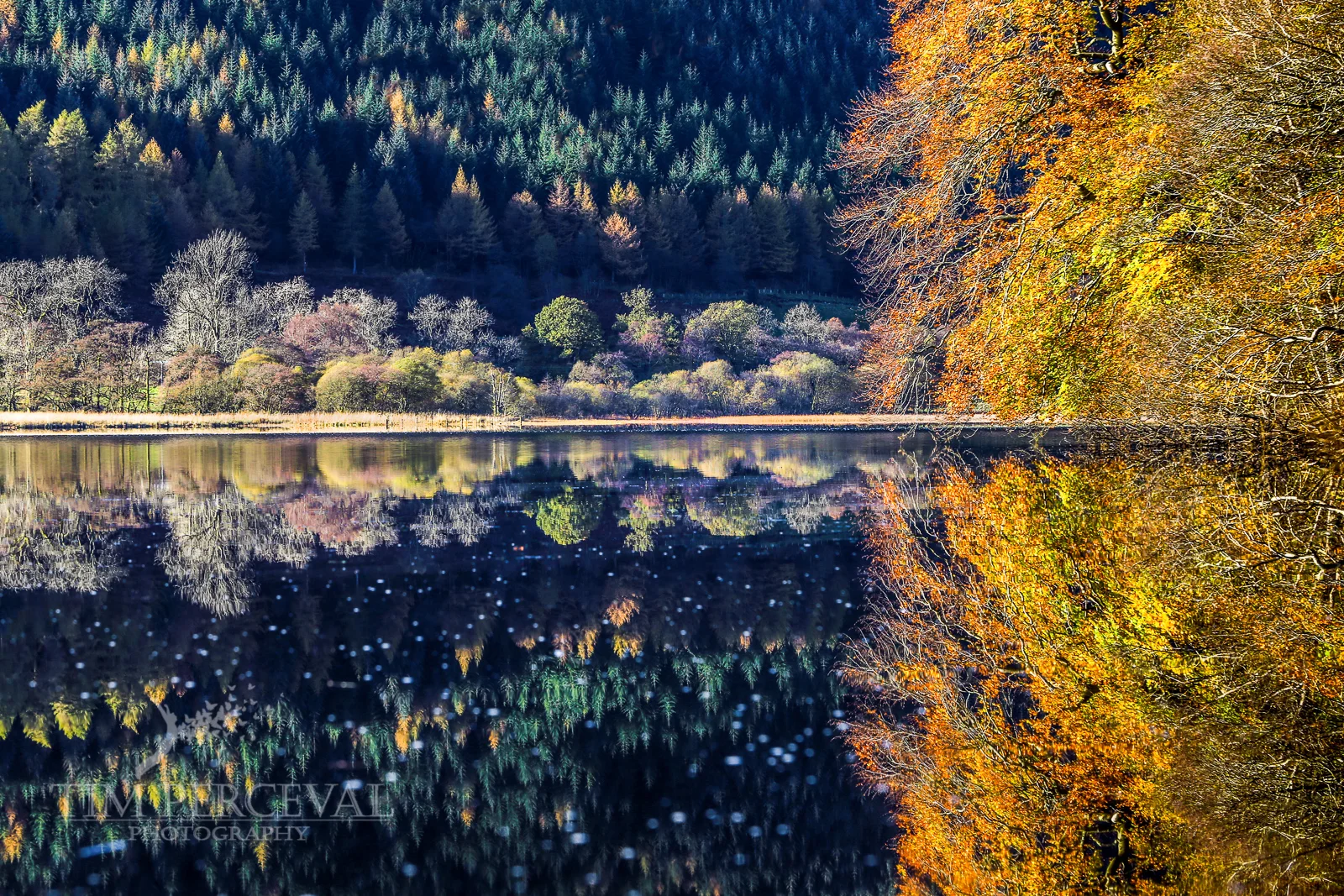 Autumn mirror on the pristine calm of Loch Lubnaig