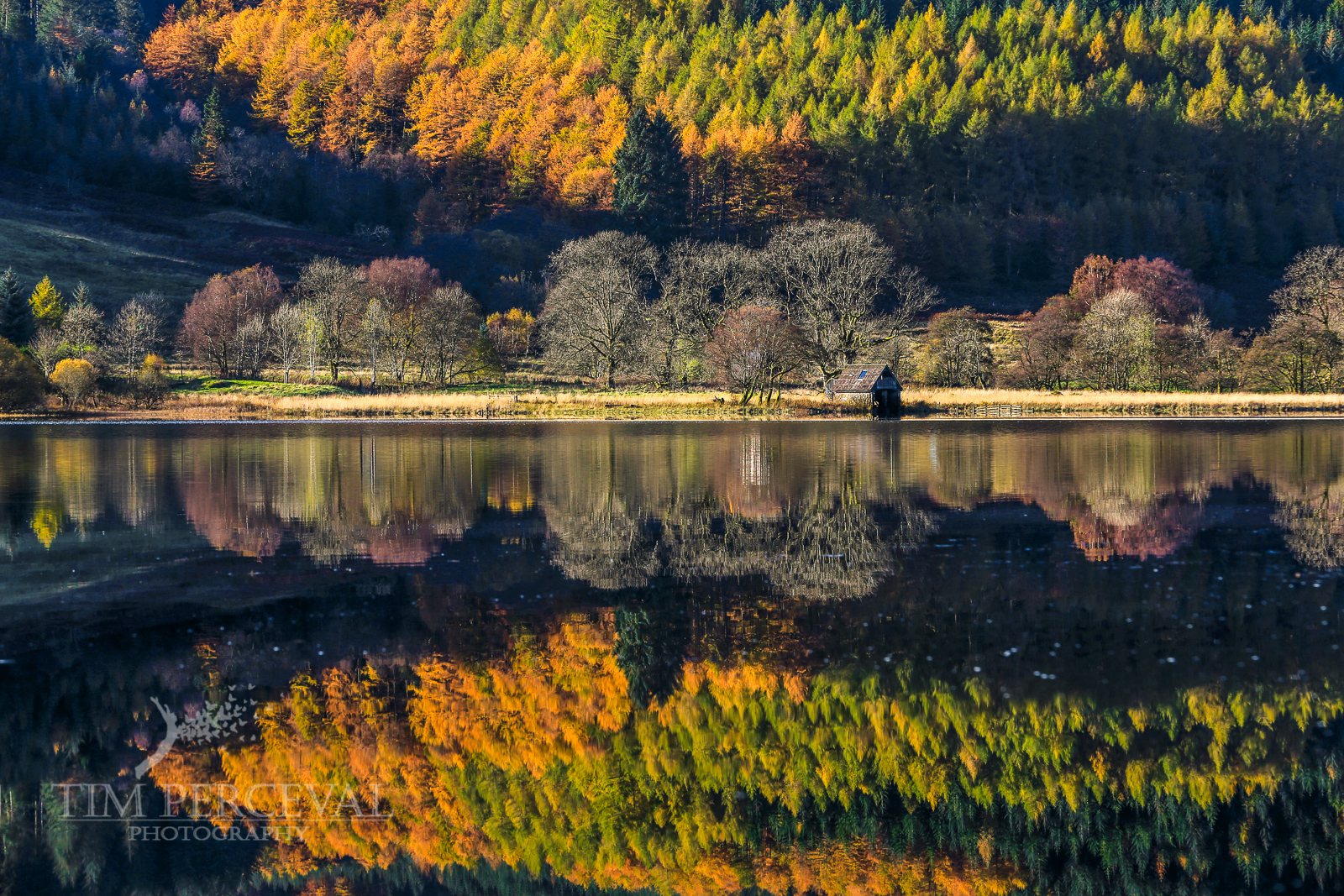  Mirrored Autumn on Loch Lubnaig 