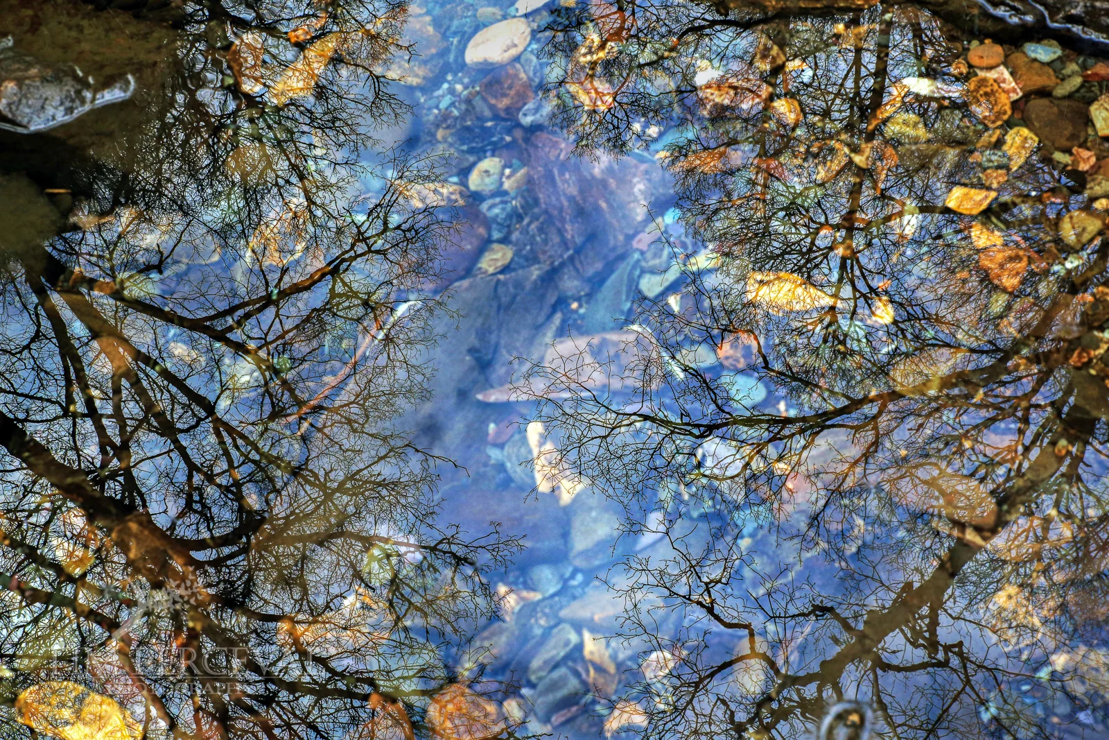 A Rock Pool at the Little Fawn Waterfall, Queen Elizabeth Forest Park