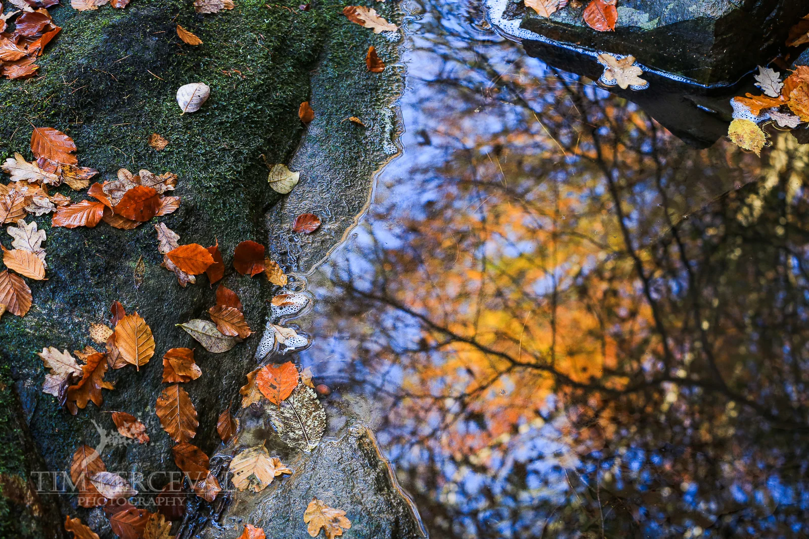 Autumn Leaves in a rock pool at The Birks of Aberfeldy