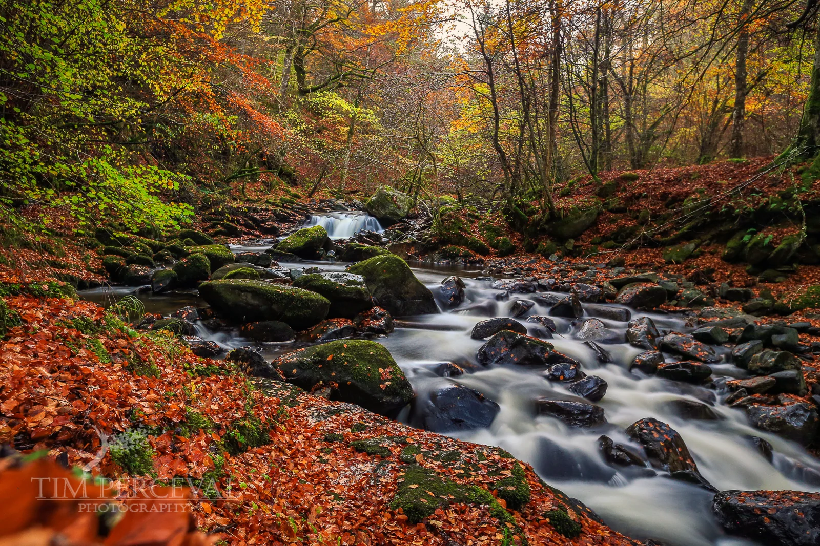 Autumn Leaves at The Birks of Aberfeldy