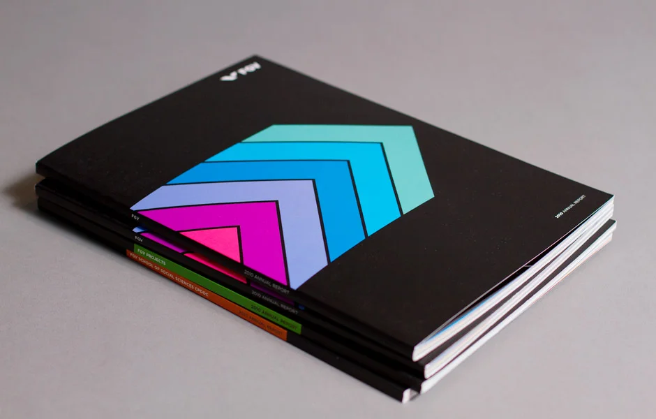  Main annual report for 2010. 