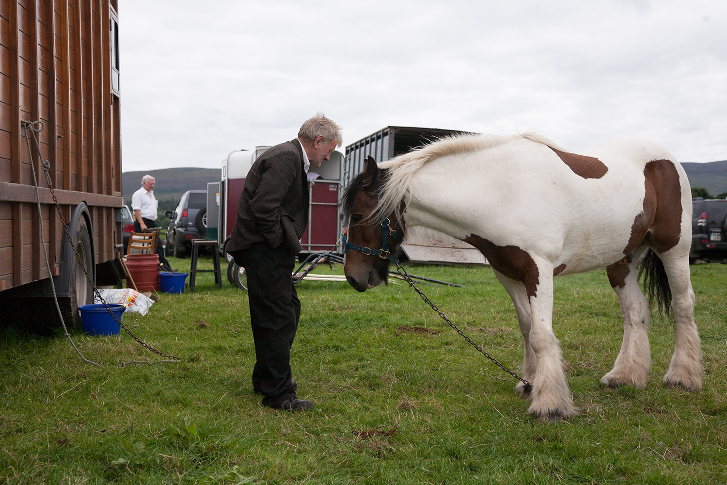 A documentary photograph of a man looking over a horse at the agricultural show in the west of ireland