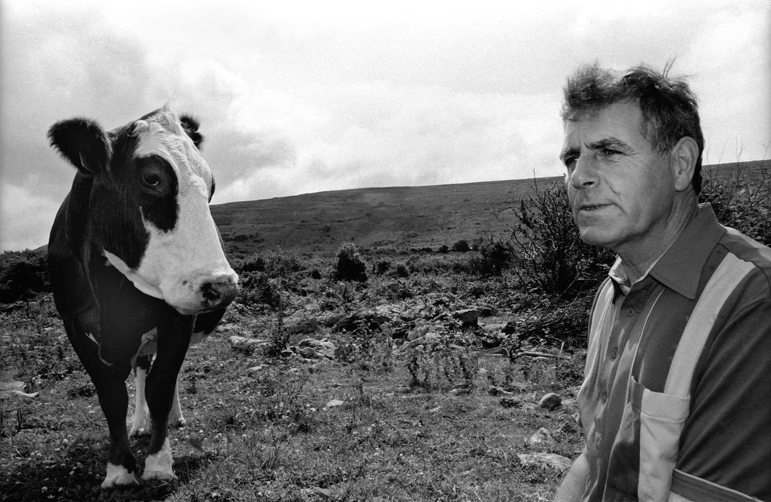 A documentary photograph of an irish farmer and his cow