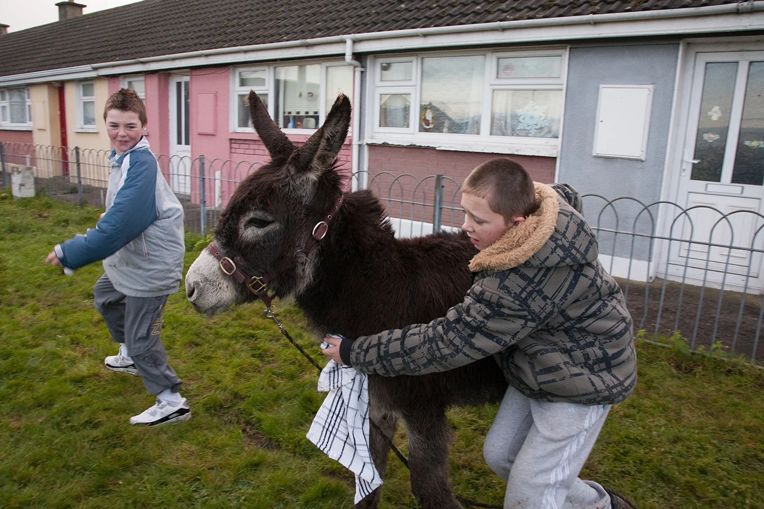 A documentary photograph of two boys playing with a donkey in Moyross, Limerick, Ireland