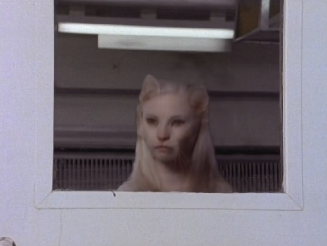 S03E17: A Ranger Catastrophe: Part 1