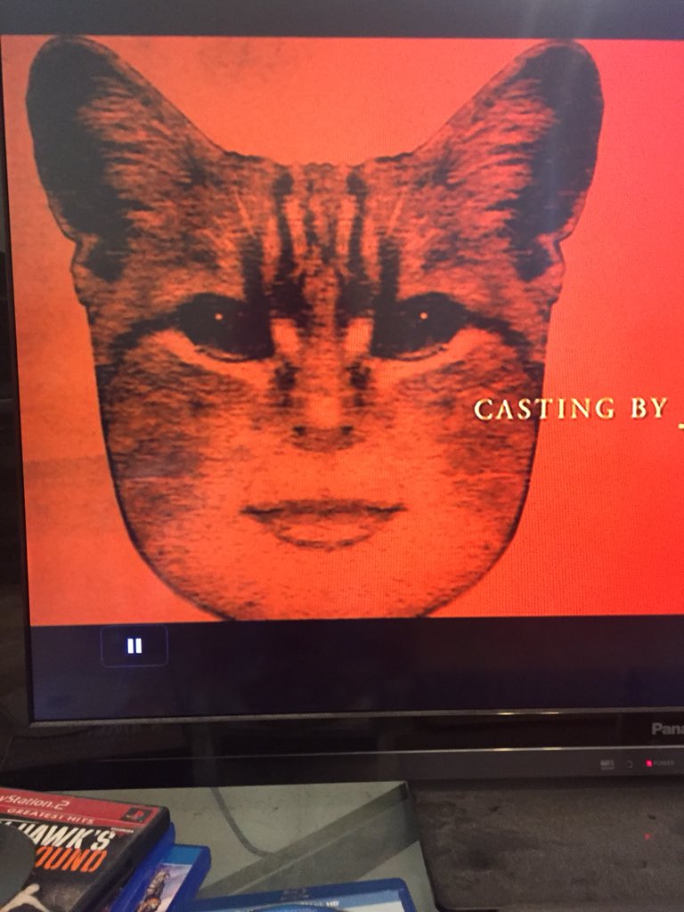 catwomanpic.jpg