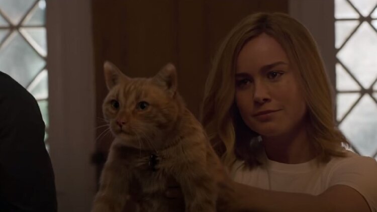Episode 21: Captain Marvel episode artwork