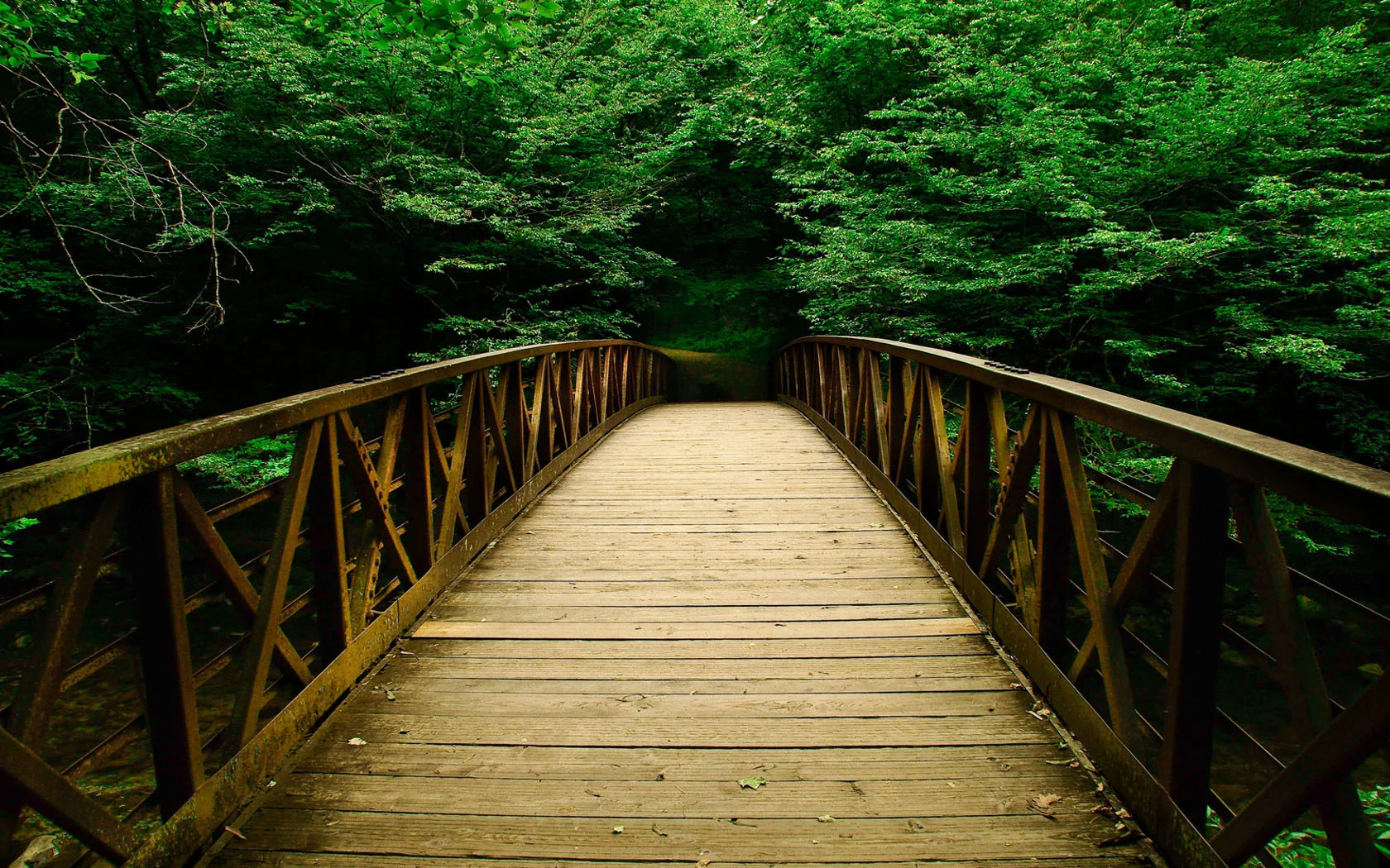 header2.jpg