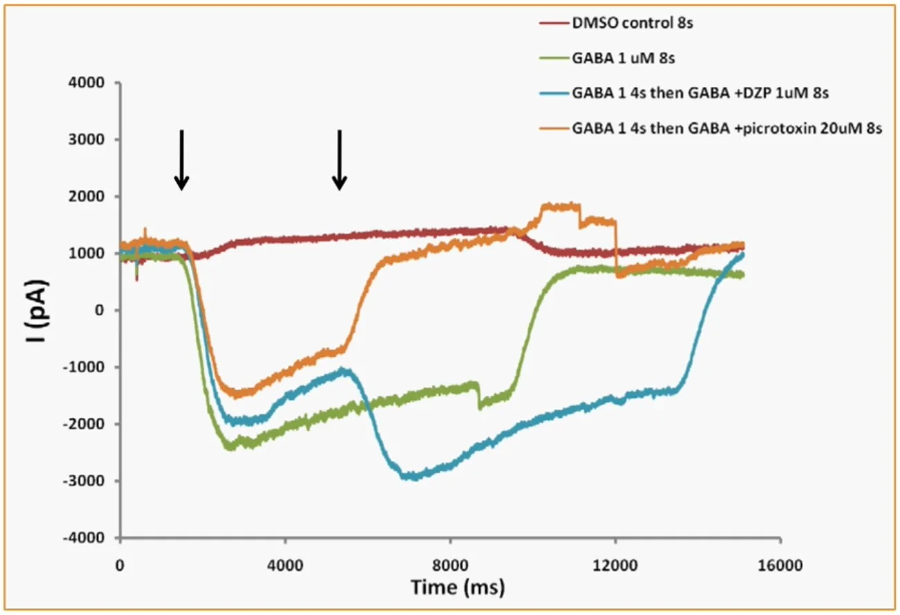 Rapid change of solutions during GABA current activation sweeps.