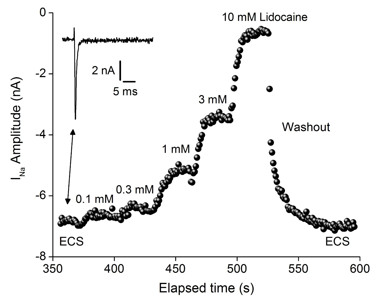 Nav 1.7 Lidocaine dose resonse
