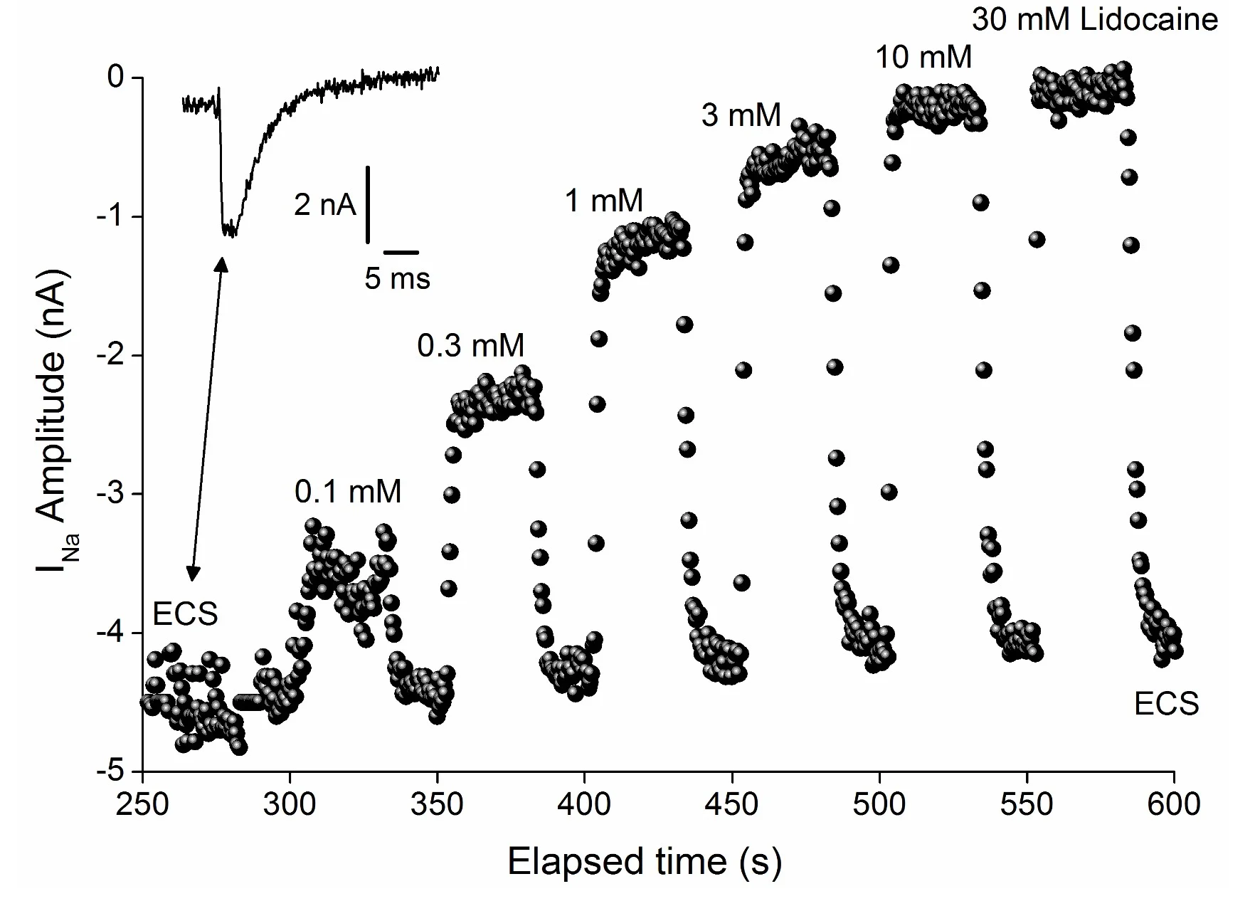 Nav 1.8 LIdocaine dose response