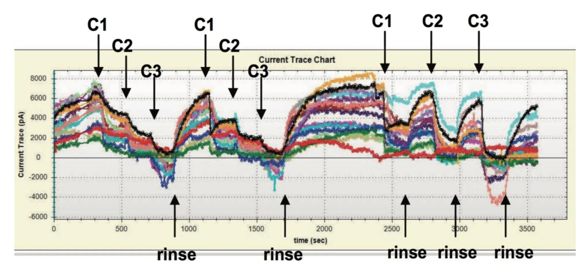 Longevity of hERG recording and two types of compound application sequences. Experimental screen capture showing two cumulative blocker concentration sequences, followed by a protocol during which the blocker is removed before each subsequent concentration is applied.