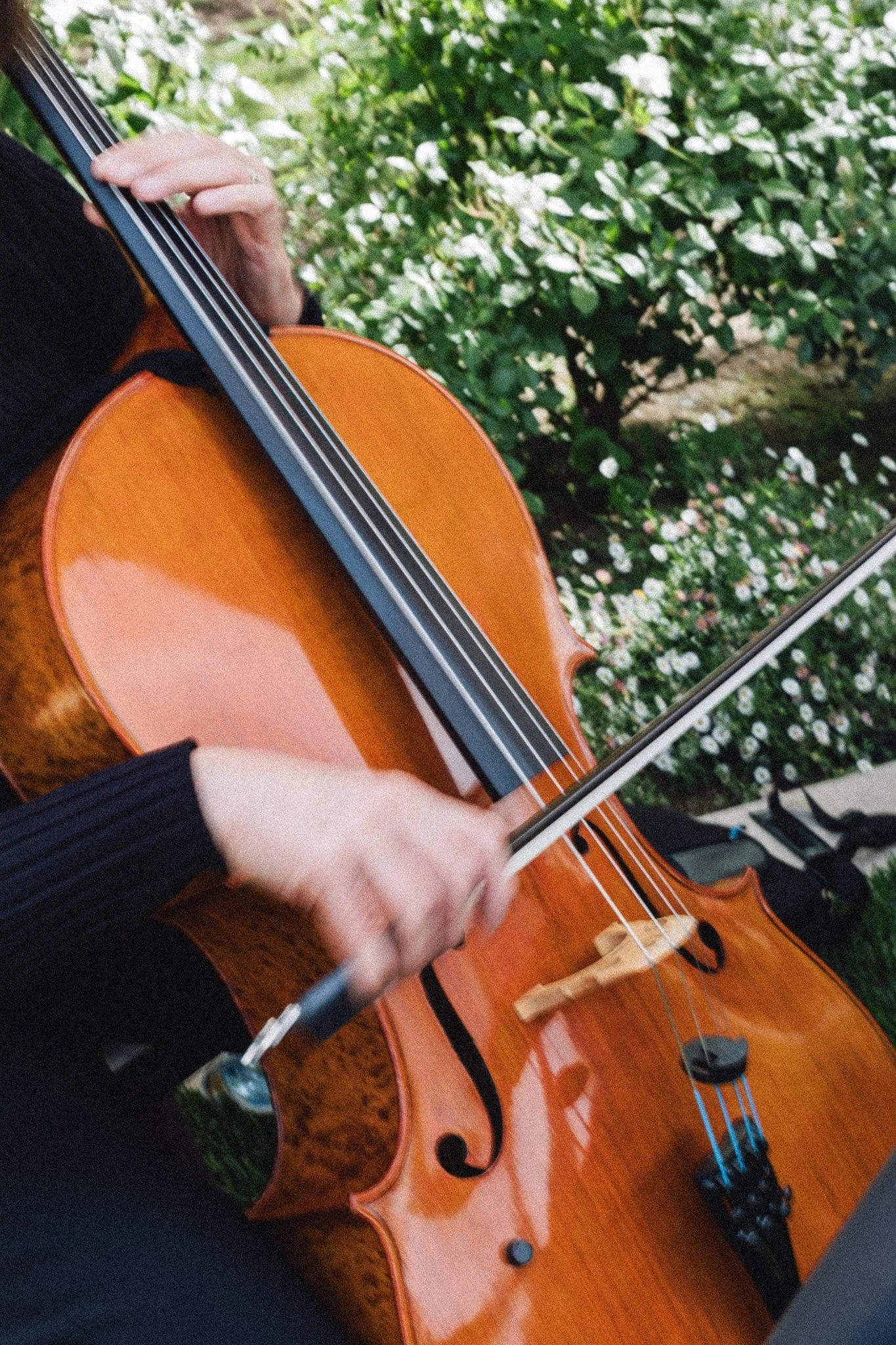 Napa valley venues for wedding- CES Wedding and Events