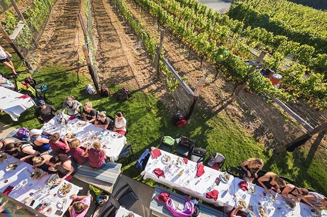 Long table dinner catered by @foodforthoughtvictoria? Yes please! #sipsiphooray #winerun #cowichanwinerun