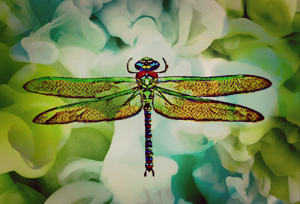 dragonfly6 (1) (1).PNG