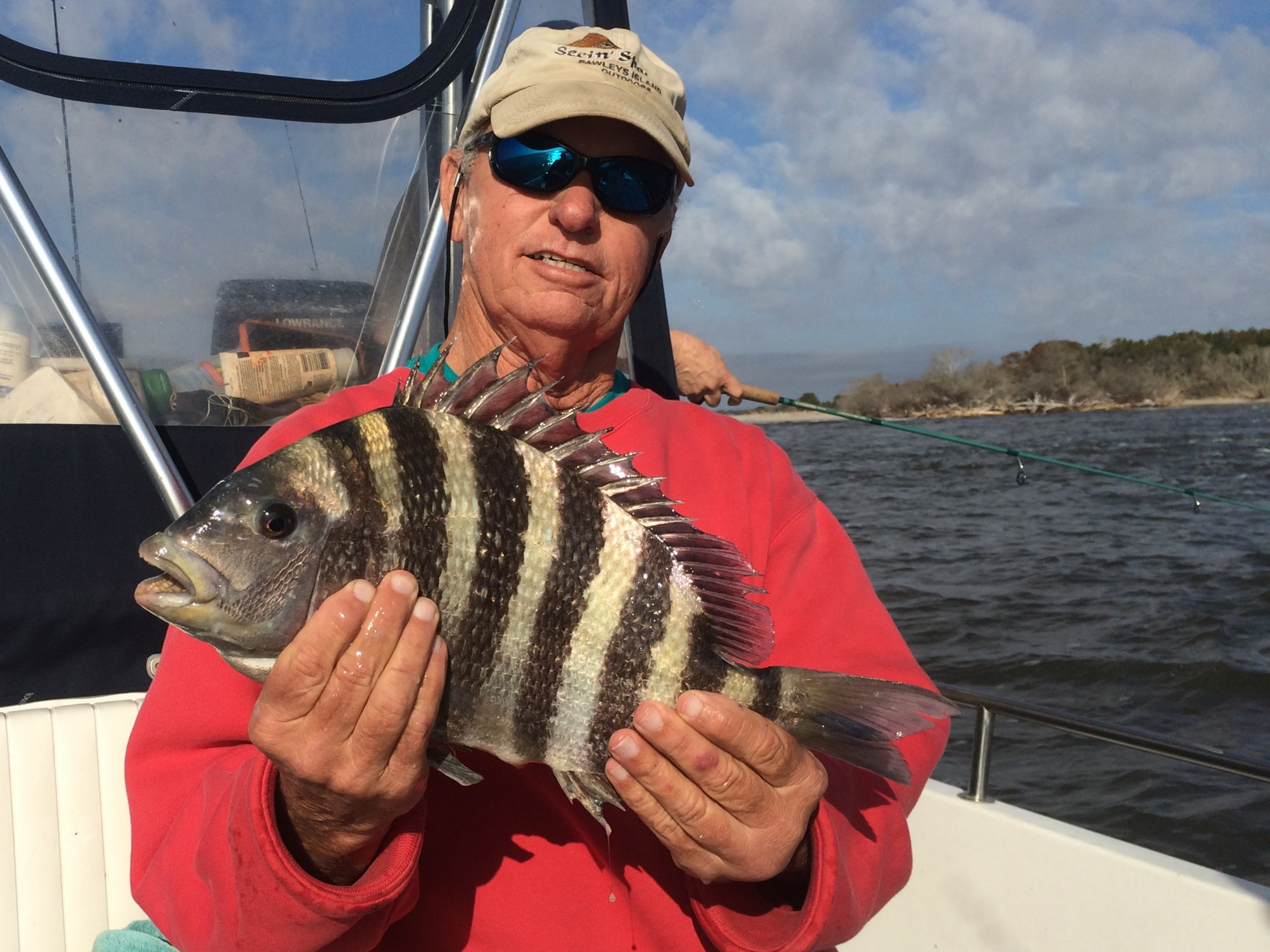 A sheepshead caught by a frequent guest in March 2016.