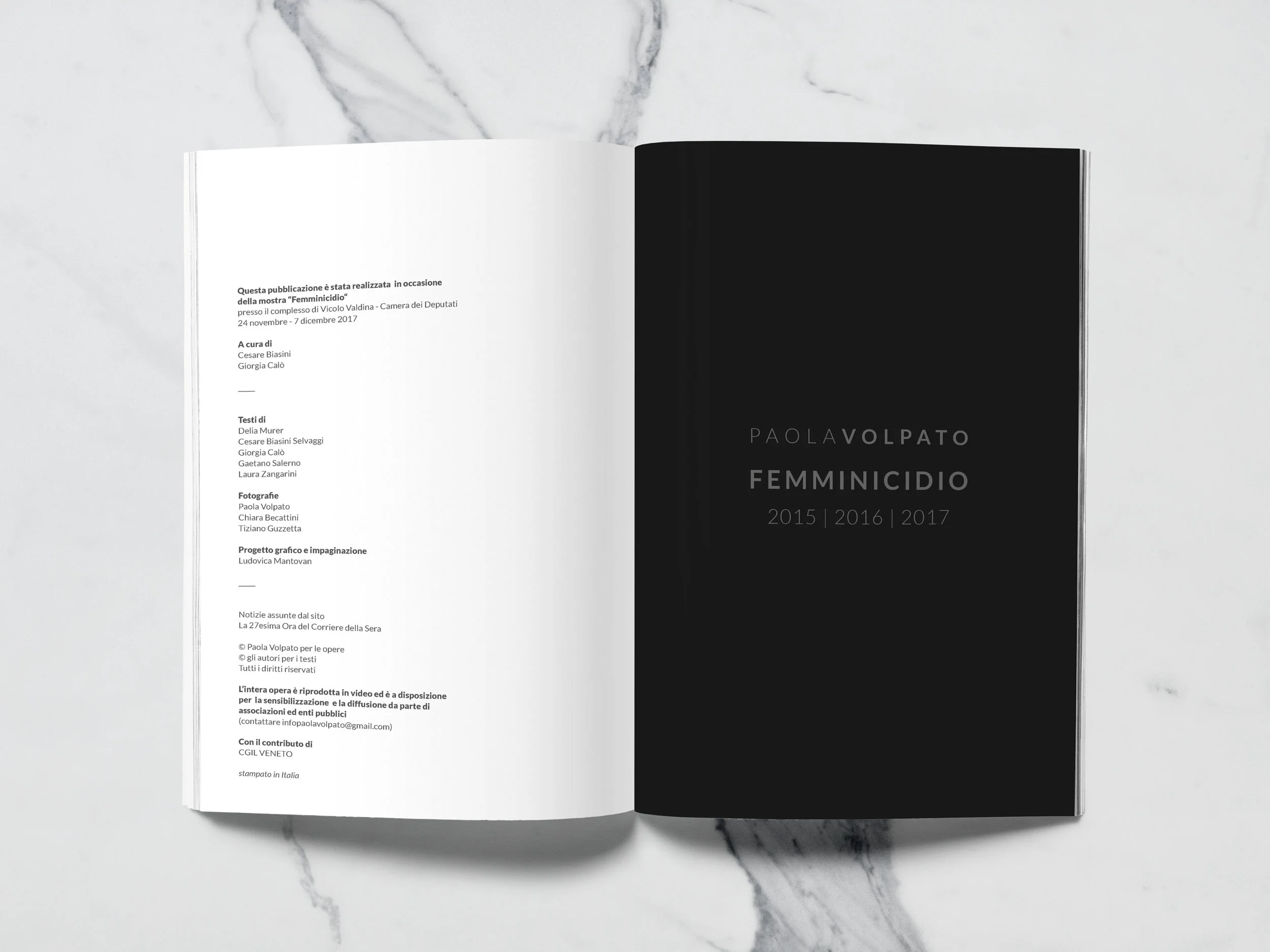 femminicidio interno 0.jpg