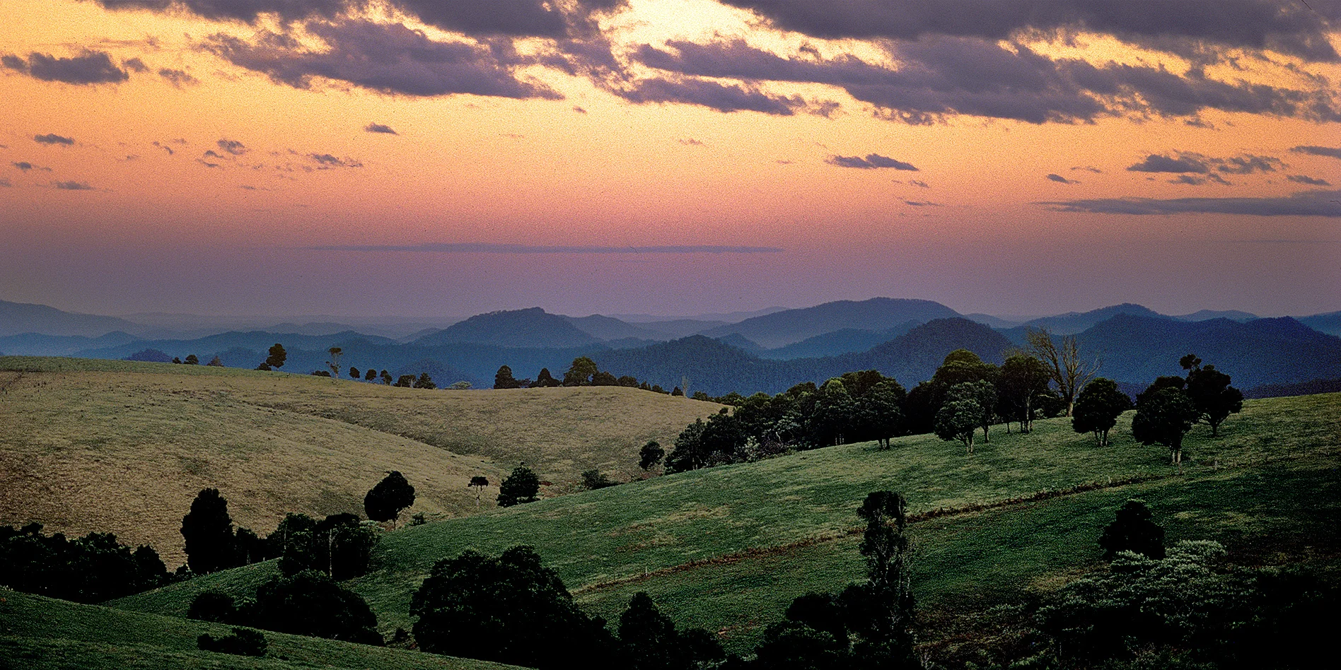 P0074 Dorrigo NSW