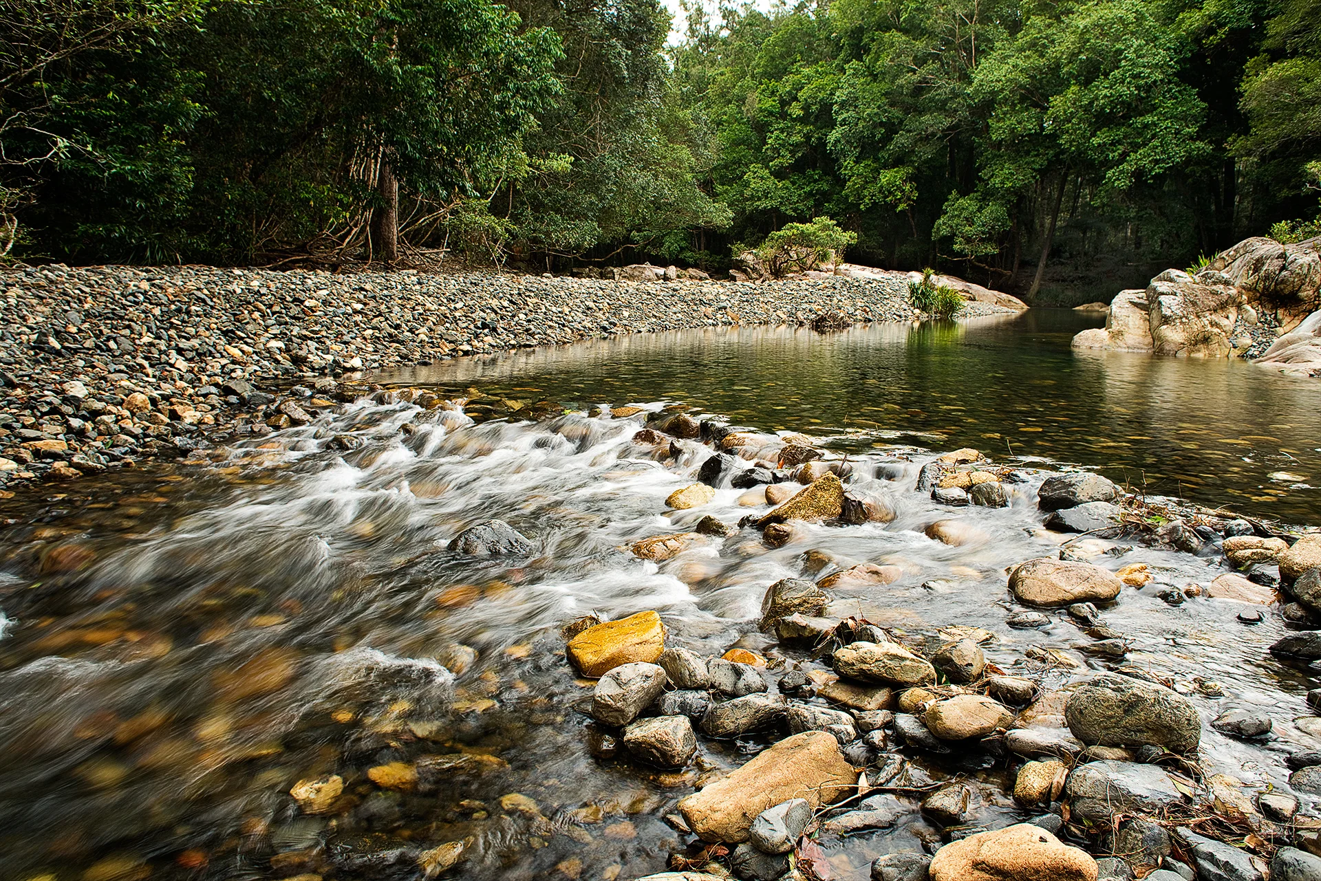 P1998 Never Never Creek Bellingen NSW.