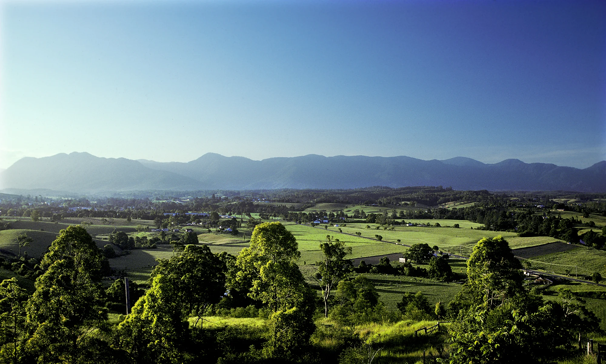 Bellingen NSW