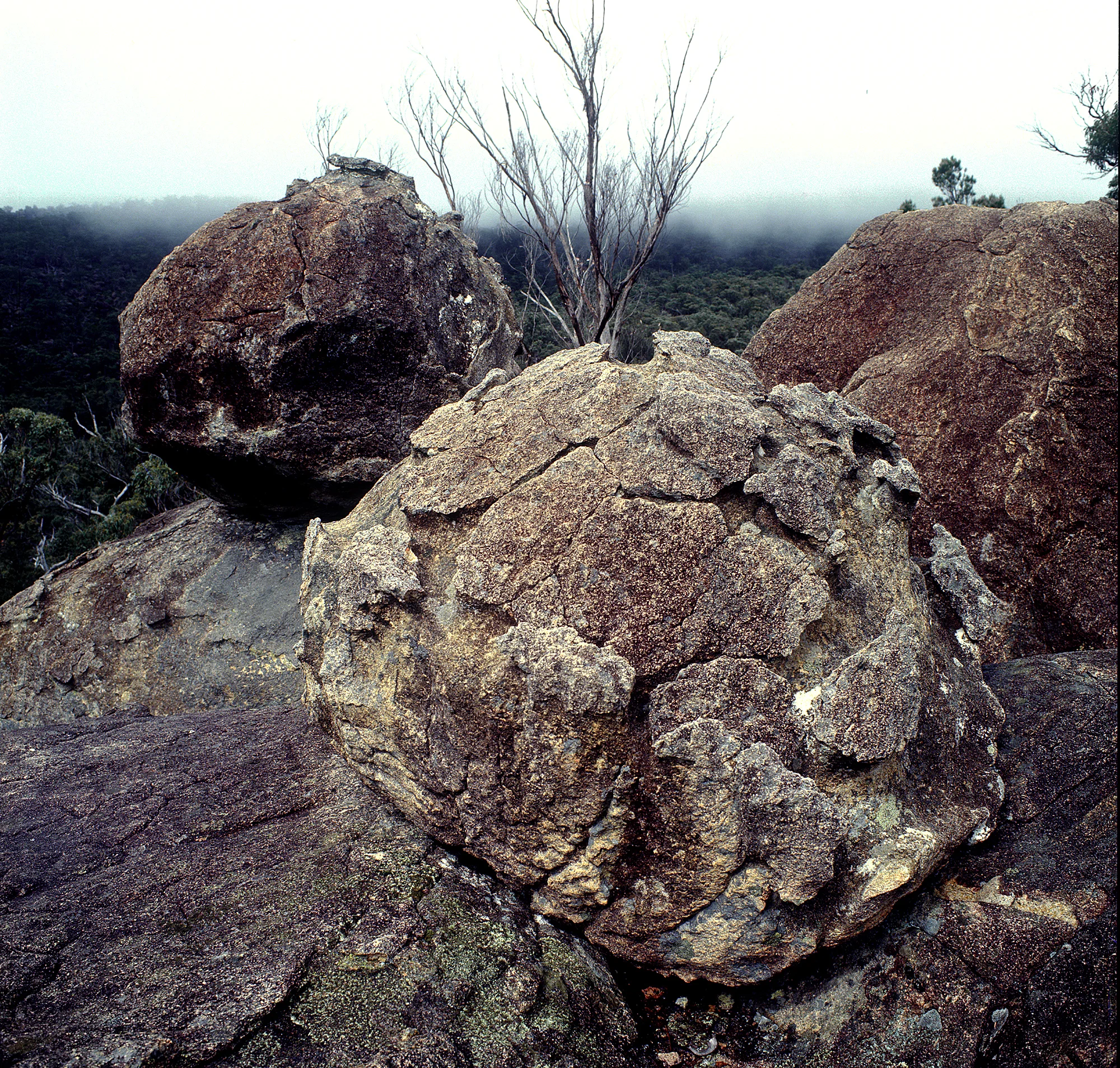 Tors at Cathedral Rocks NP NSW